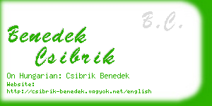 benedek csibrik business card